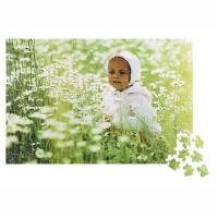 Puzzle 264 Teile